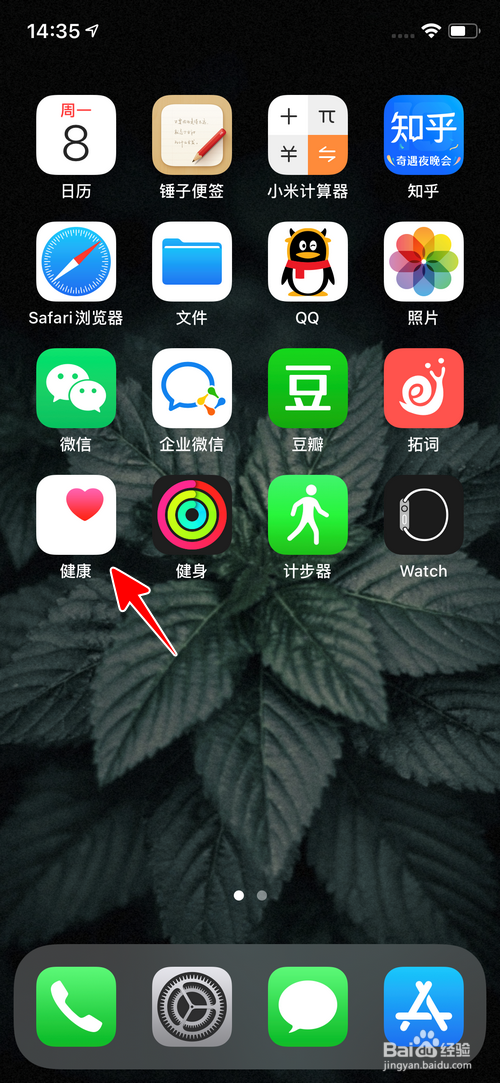苹果手机怎样查看某个月的平均步数