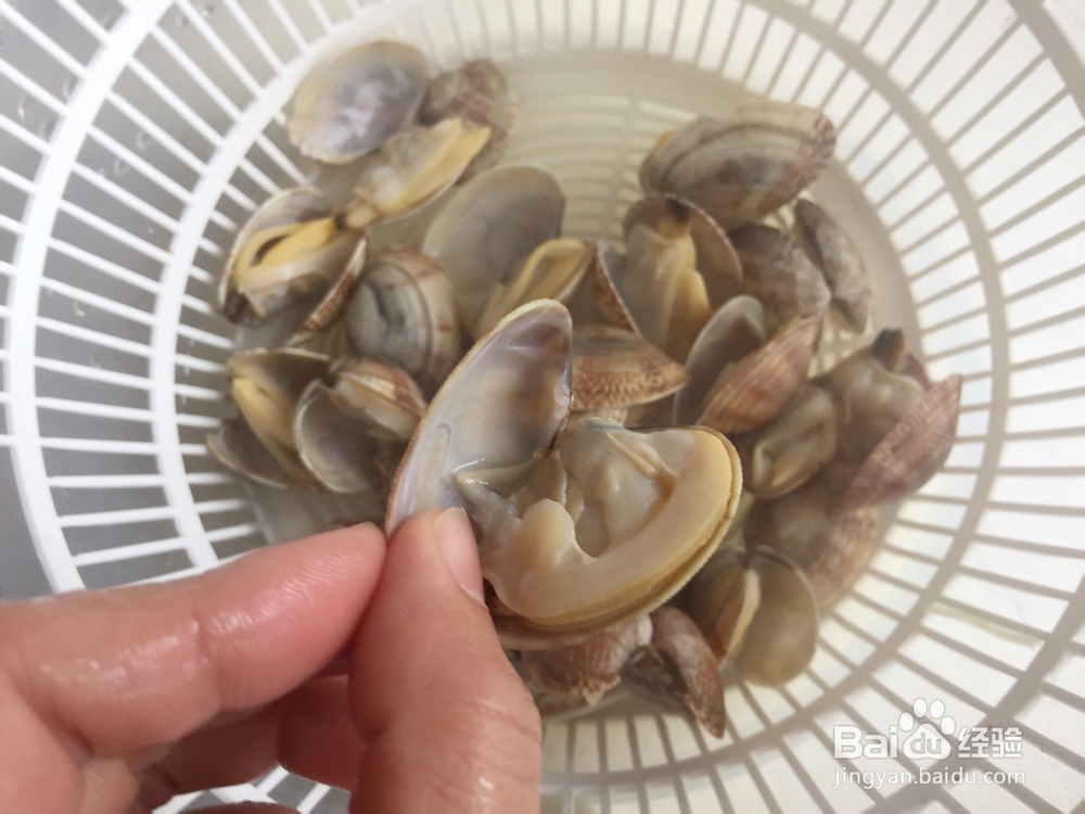 不费事做蒜蓉金针菇花蛤