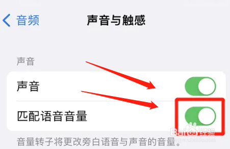 苹果手机怎么设置匹配语音音量