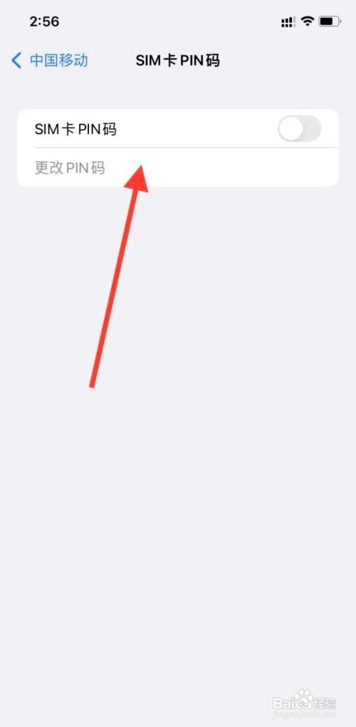 苹果如何输入PIN码