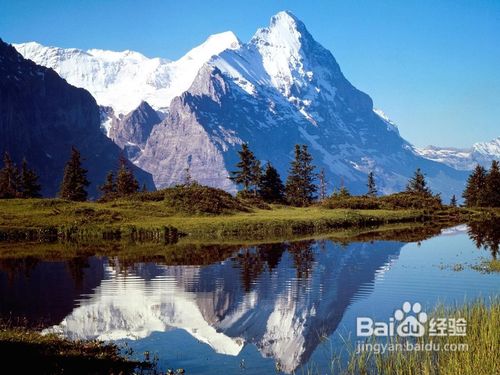 【圣诞】圣诞进行时