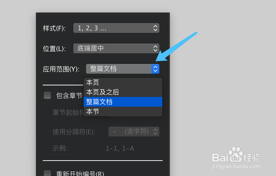 word如何设置页码参数