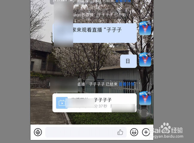 钉钉群聊天窗口背景图片怎么修改