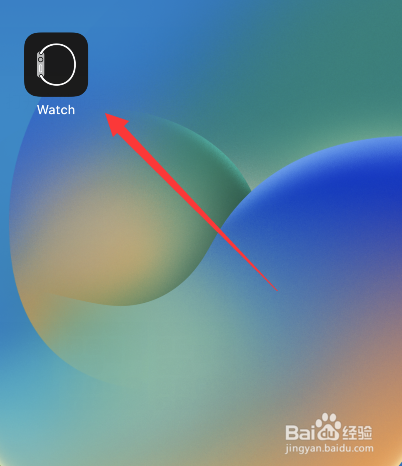 苹果手表9.5更新了什么