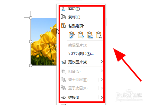 Word文档中怎么给图片添加标注注解信息