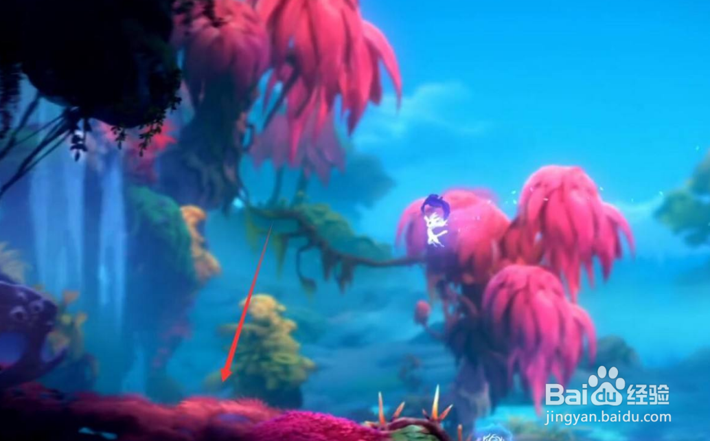 奥日2光之池怎么上去