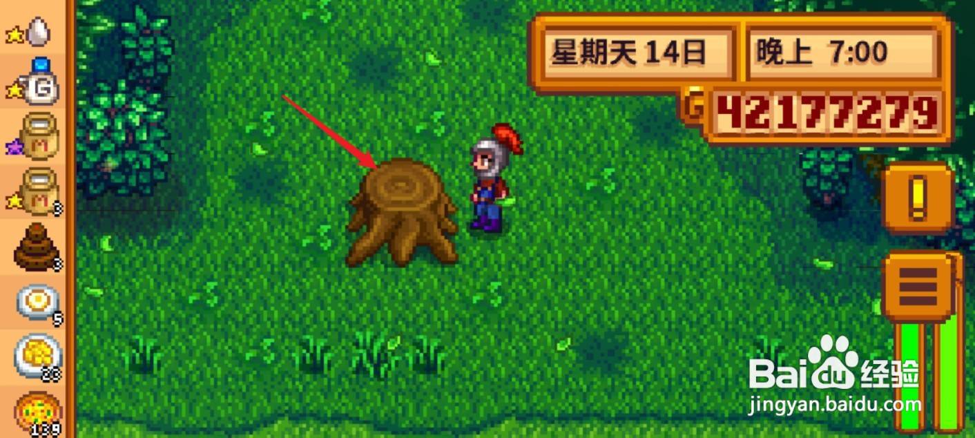 星露谷物语硬木怎么获得