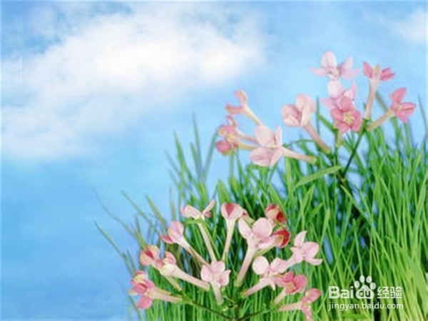 怎样赶走失恋的负面情绪