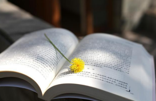 关于读书的神仙开头有哪些