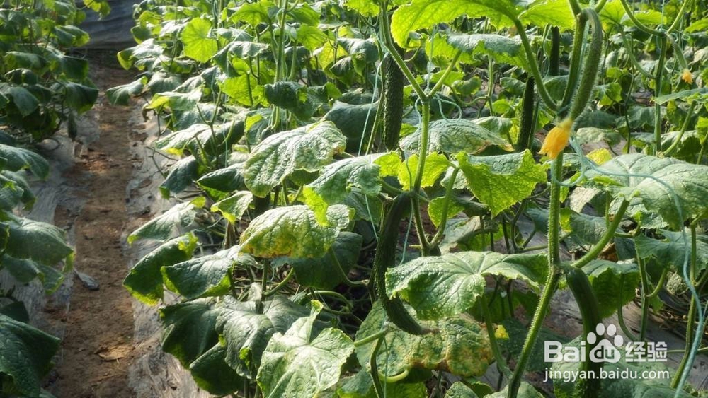 最应该带孩子玩，去的地方？