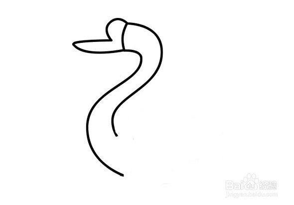 大白鹅简笔画 分步画法