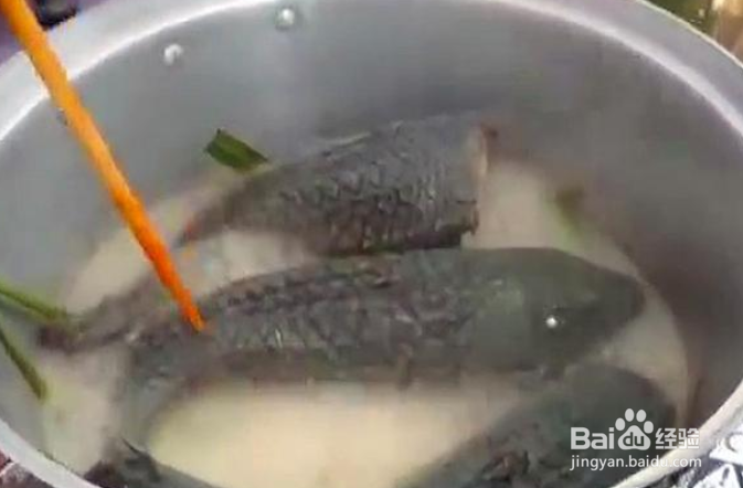清道夫怎么吃