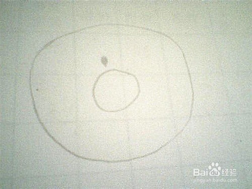 简笔画猕猴桃的画法