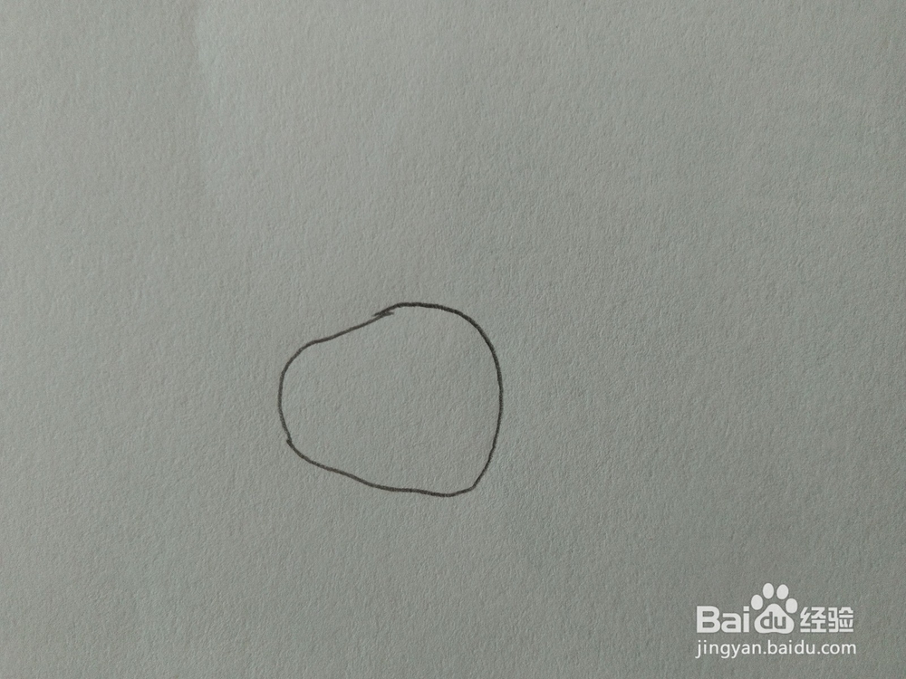 儿童趣味简笔画狮子