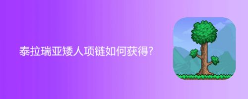泰拉瑞亚矮人项链如何获得