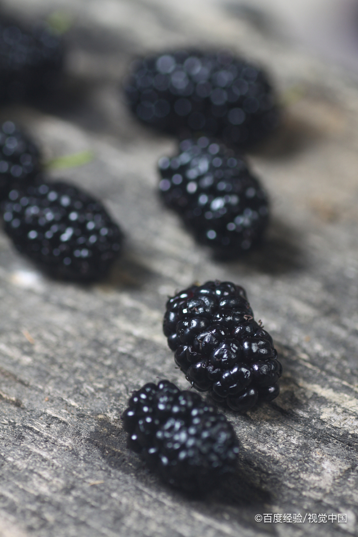 马桑果的危害有哪些