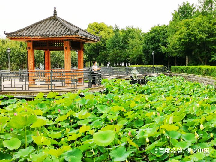 阳江沙扒碧桂园月亮湾怎么去