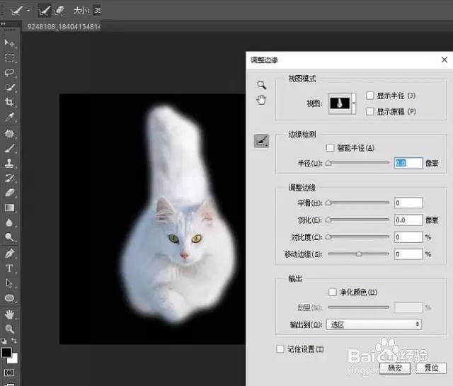 PS:如何用蒙版抠出白猫