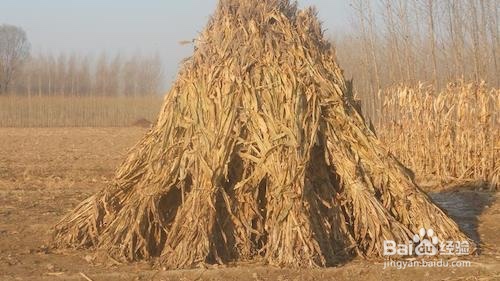 常见的引火源有哪些?