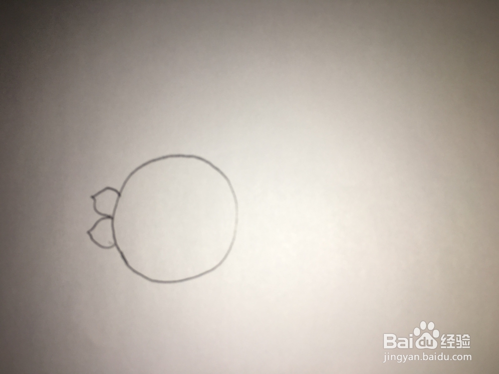 简笔画-向日葵