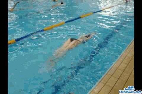 怎样通过找腰找波浪来学习蝶泳