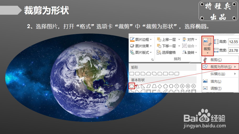 如何巧用PPT裁剪图片？