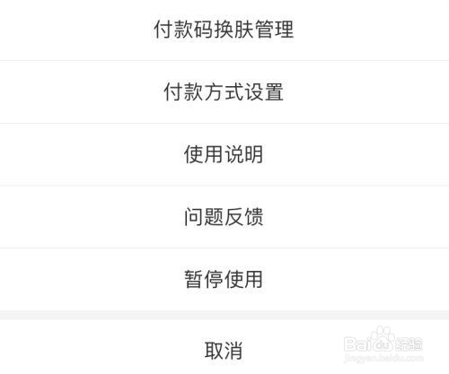 支付宝付款码皮肤设置在哪里 