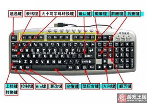 电脑F1~F12键有什么用