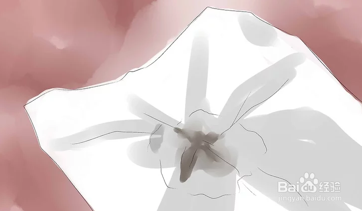 如何去除地毯上的乳胶漆
