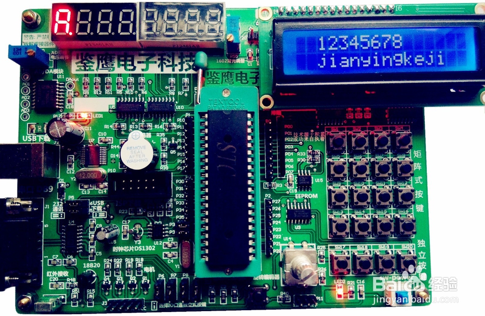 初学者怎么学习单片机