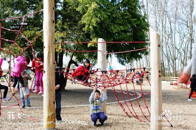 温哥华百万木头公园