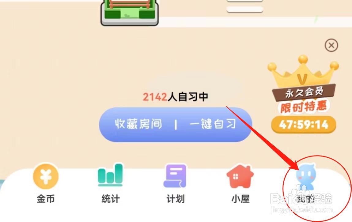 在哪里开启专注崽崽软件中的参与每周专注排行