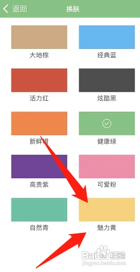 顶点小说怎样换皮肤颜色