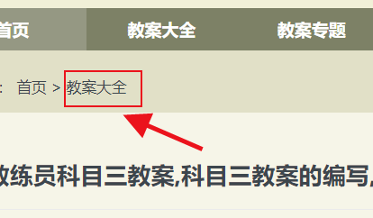 教资科三教案怎么给分
