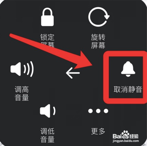 苹果手机如何解决开着铃声却没声音的问题