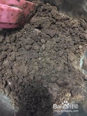 马芬巧克力蛋糕制作方法