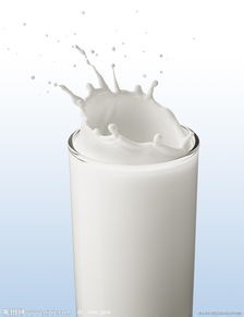 什么食物可以调节失眠