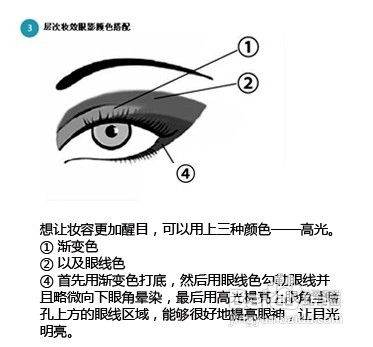 dodo四色眼影怎么画