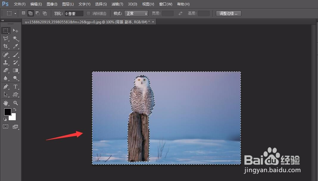 photoshop怎么用魔棒工具抠图