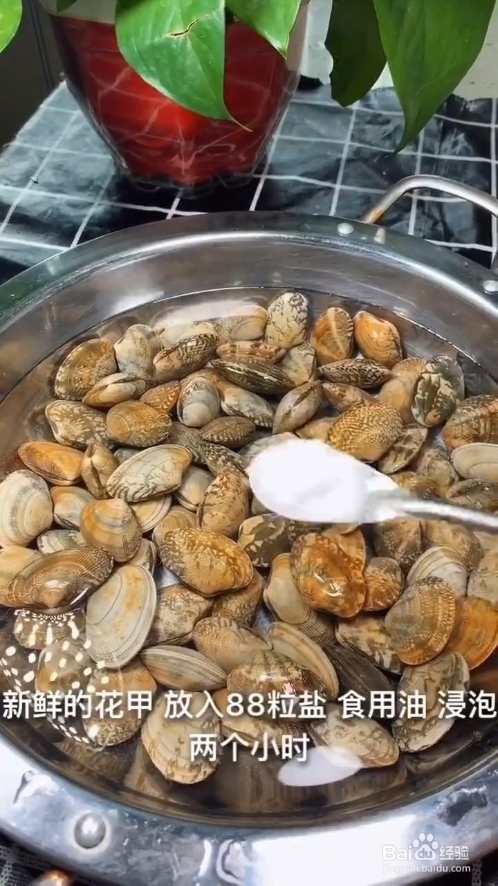 如何自制好吃美味的捞汁花甲