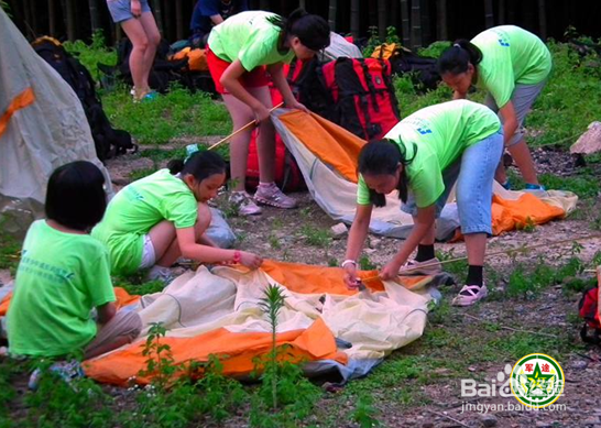 荒岛求生：新手生存技巧全攻略