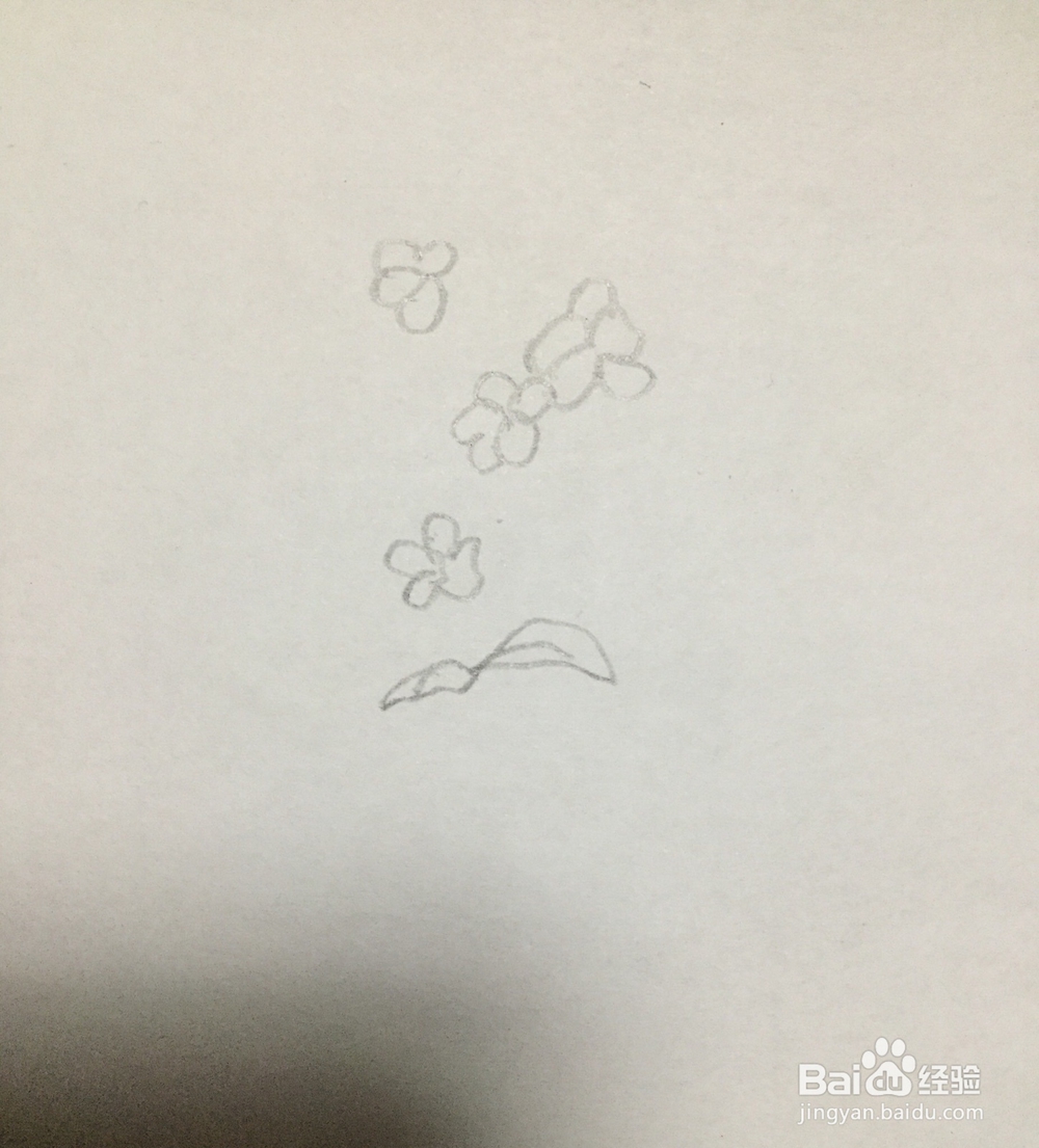 怎么画三聿花的简笔画