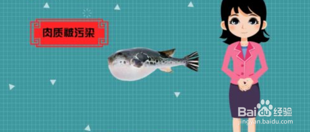 河豚怎么处理才没毒