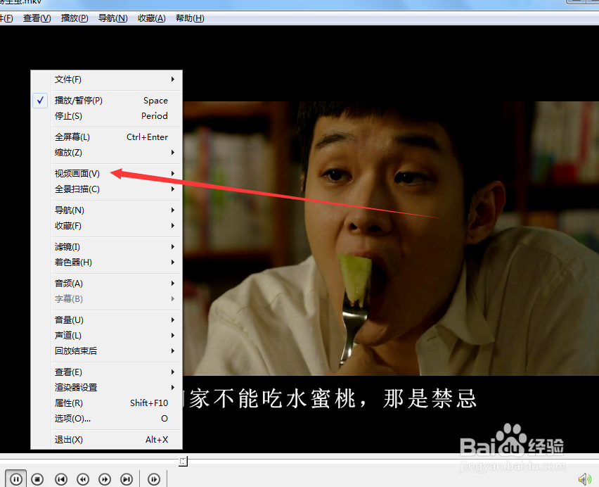 怎么使用spoonplayer的半数尺寸功能