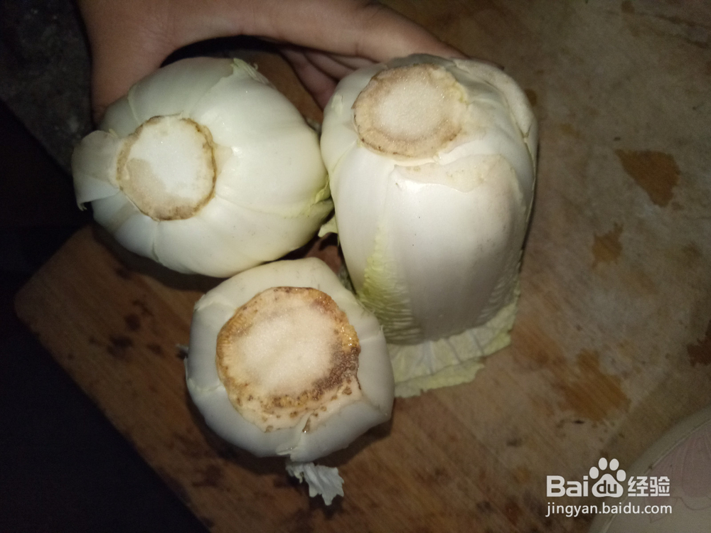 怎么区分娃娃菜和大白菜菜心