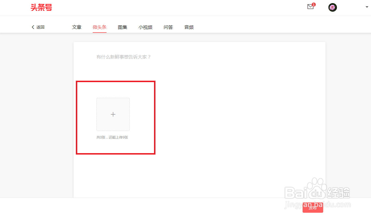 怎么用电脑在头条号上发微头条