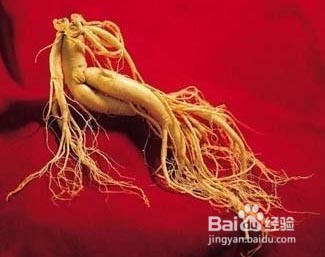 秋冬进补:沙参、红参、丹参、太子参有什么区别