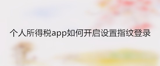 个人所得税app如何开启设置指纹登录