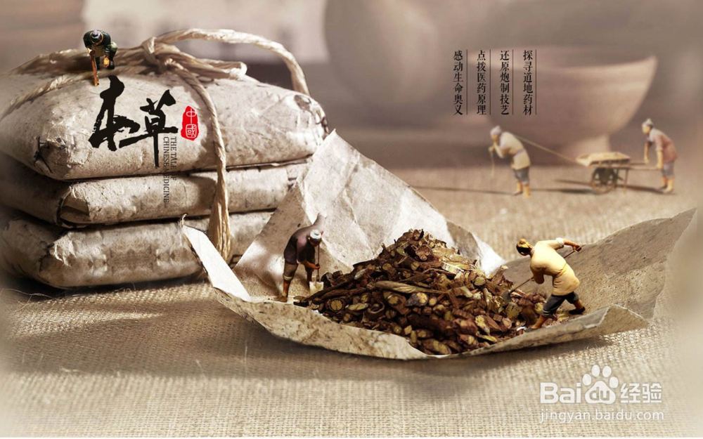 大健康产业有哪些？怎么去选择？