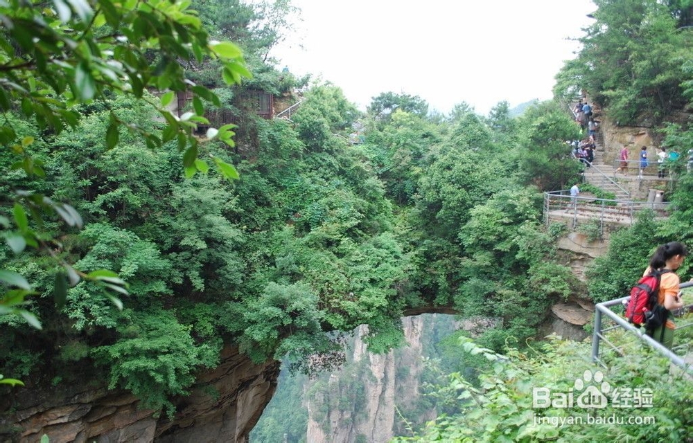 张家界自助游俱乐部